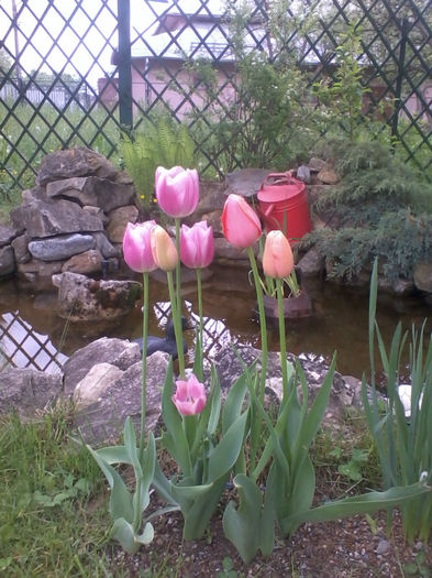 Copy of 2013-05-14 17.17.26