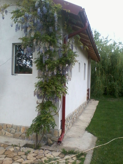 Copy of 2013-05-14 17.18.17