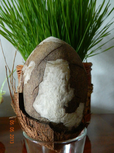 DSCN2034 - nuci de cocos oua pentru Paste