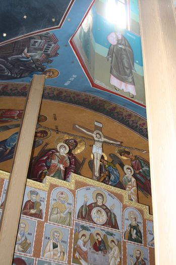 IMG_1516