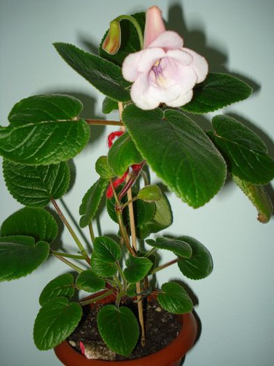 DSC06859