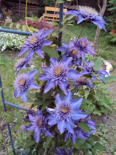 DSC04184