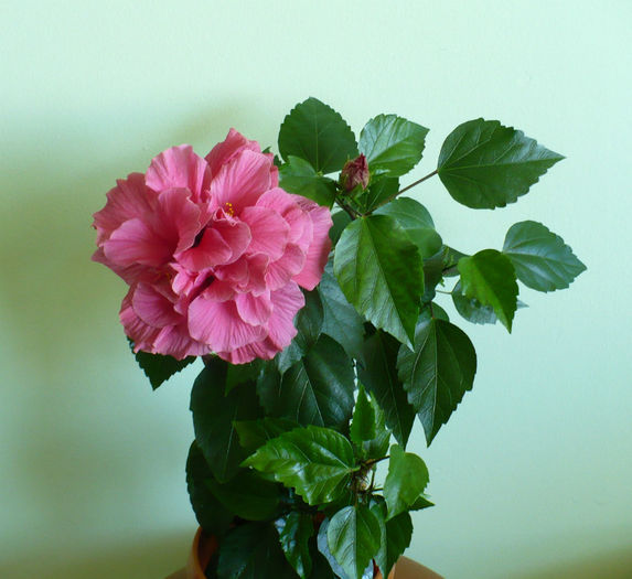 P1430740