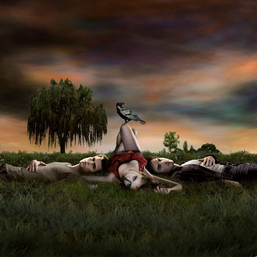 tvd (28)
