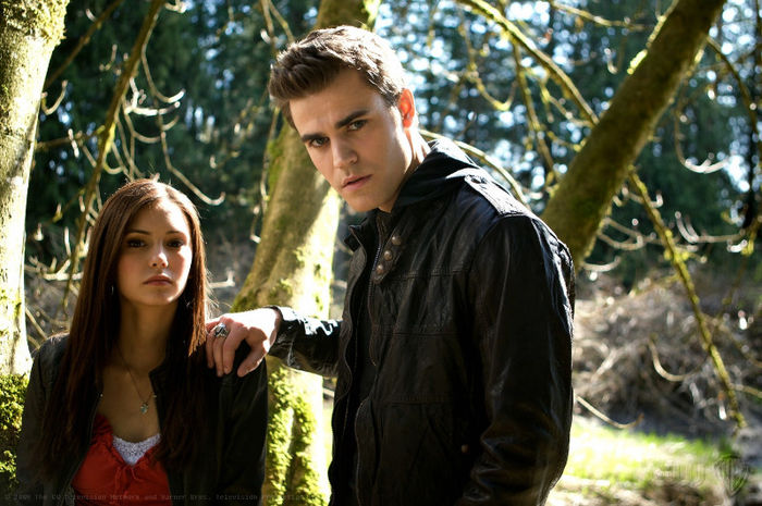 tvd (32)