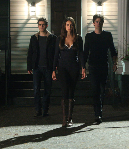 tvd (20)