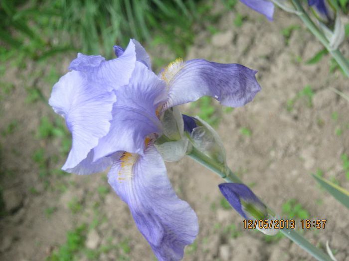 IMG_3408 - In luna mai la tara