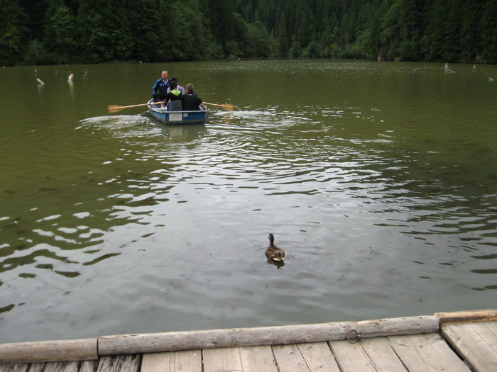 cu barca pe lacul Rosu