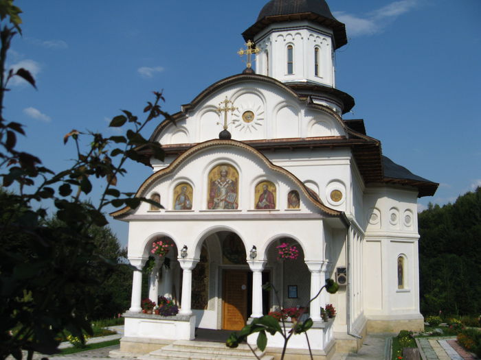 manastirea Cartisoara