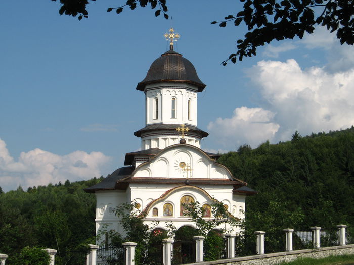 Manastirea Cartisoara