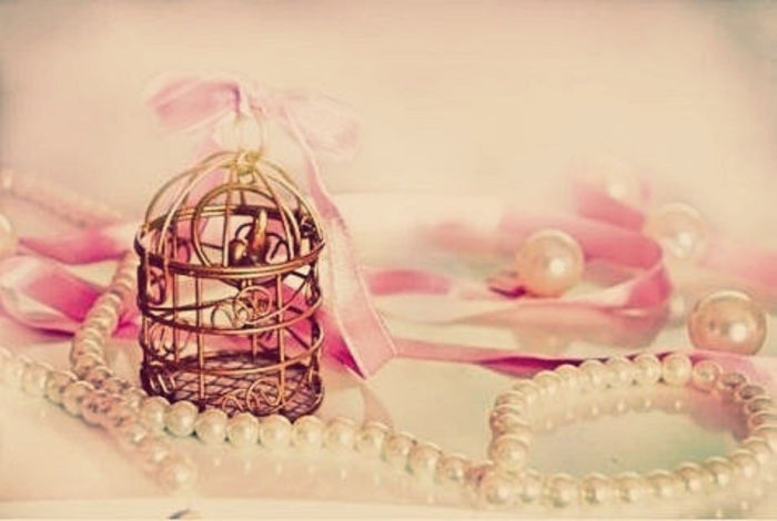 accessories-adorable-beautiful-bow-cage-Favim.com-270087 - club accessories tumblr