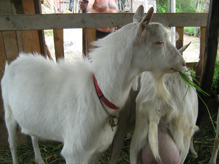 IMG_3042; TATA LOR SI MAMI
