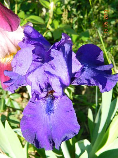 004