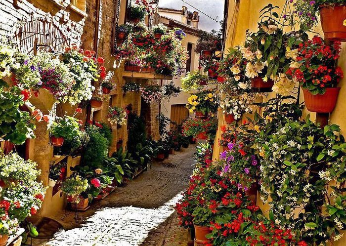 case pentru florarese