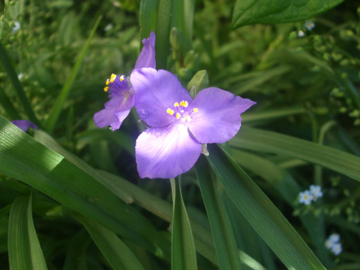 DSCF0986