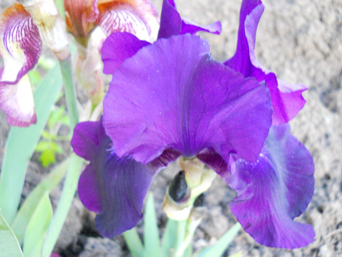 DSCN4644