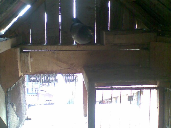 14052013(010) - Voiajori