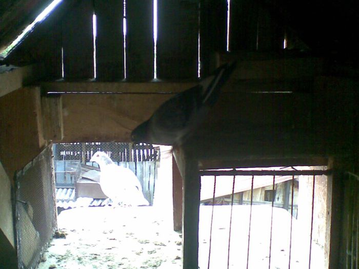 14052013(011) - Voiajori