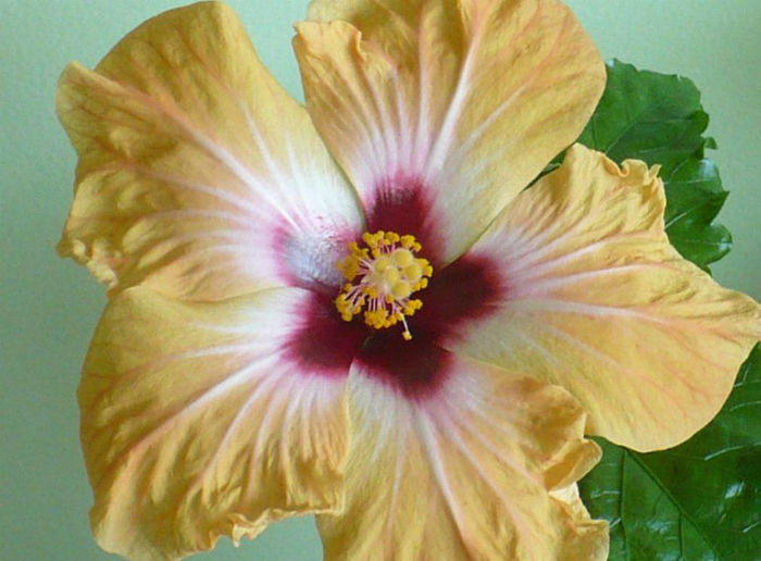 P1430787