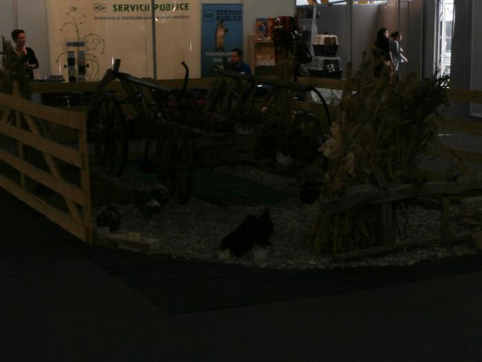 P5170062 - S- ZOO PET FAIR 2013