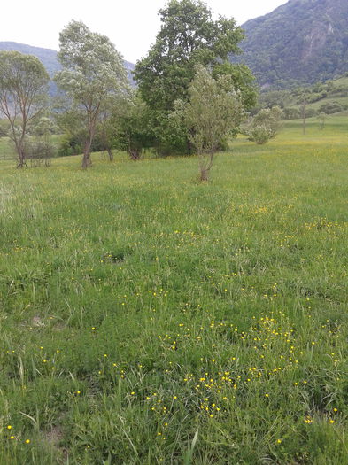 2013-05-12 16.28.54 - Fotografii 2013