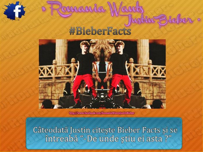 971505_556997594337104_374669039_n