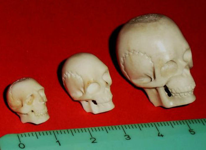 Cranii de os - CREEPY STUFF