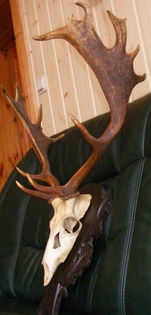 Lopatar mare cu panoplie_925 de lei