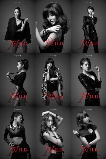 Nine-Muses-Wild-11 - Nine Muses
