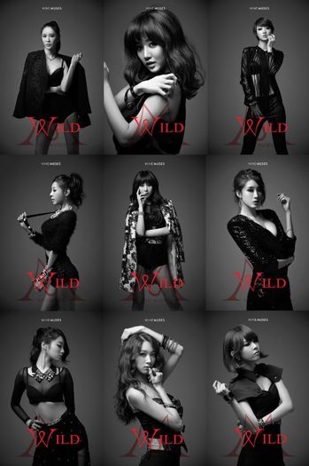 Nine-Muses-Wild-11