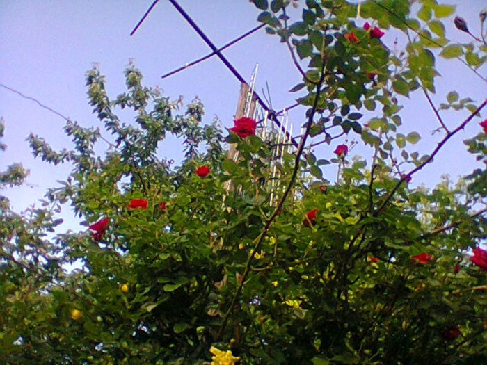 Fotogr.1269