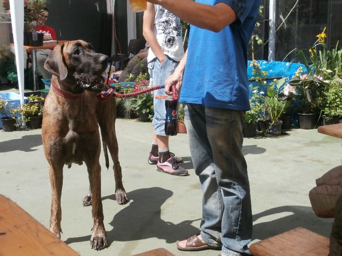 P5180005 - S- ZOO PET FAIR 2013