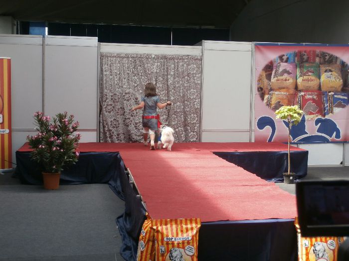 P5180013 - S- ZOO PET FAIR 2013