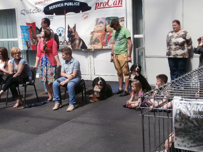 P5180015 - S- ZOO PET FAIR 2013
