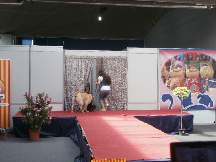 P5180023 - S- ZOO PET FAIR 2013