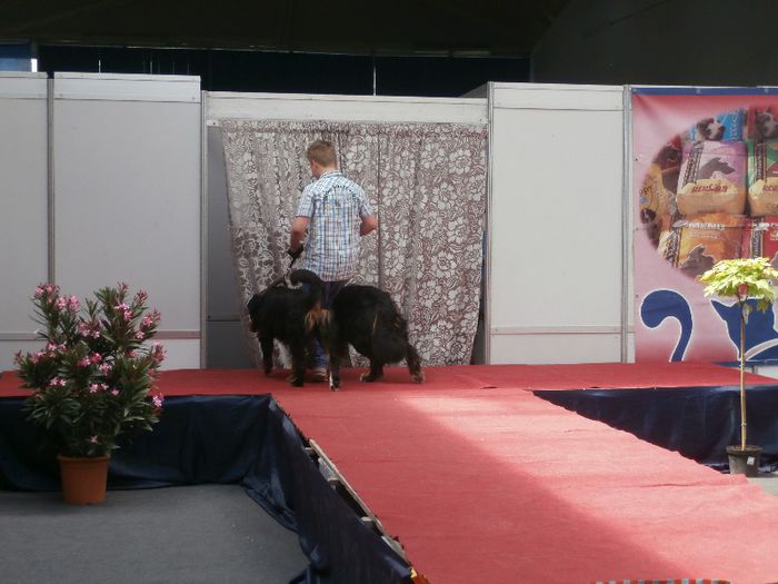 P5180031 - S- ZOO PET FAIR 2013