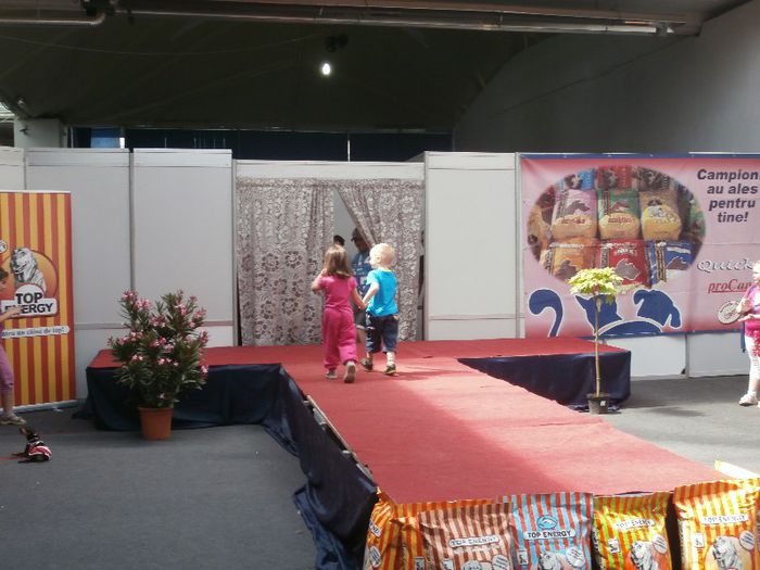 P5180039 - S- ZOO PET FAIR 2013