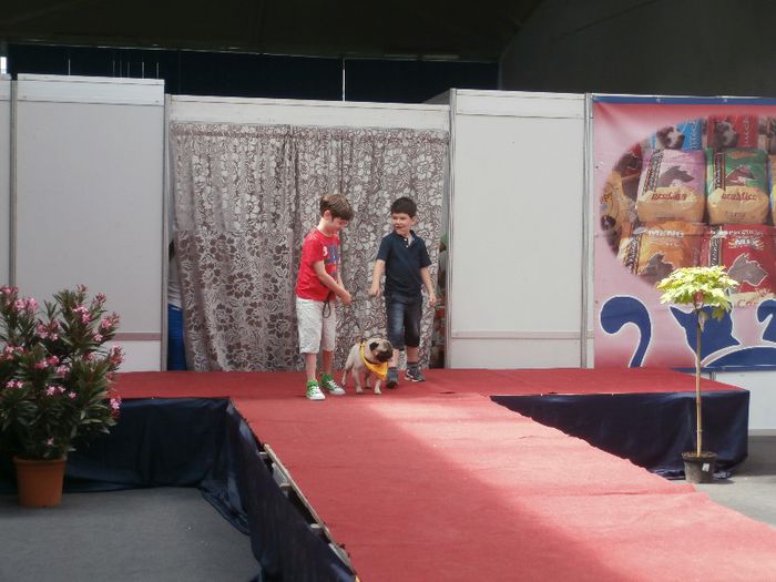 P5180043 - S- ZOO PET FAIR 2013