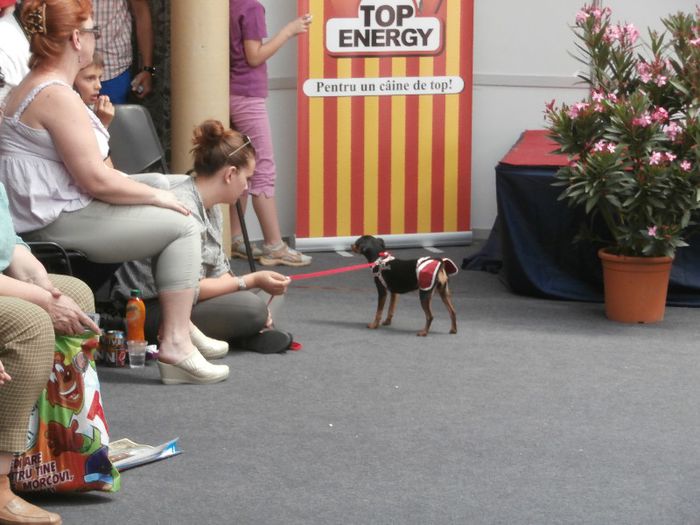 P5180052 - S- ZOO PET FAIR 2013