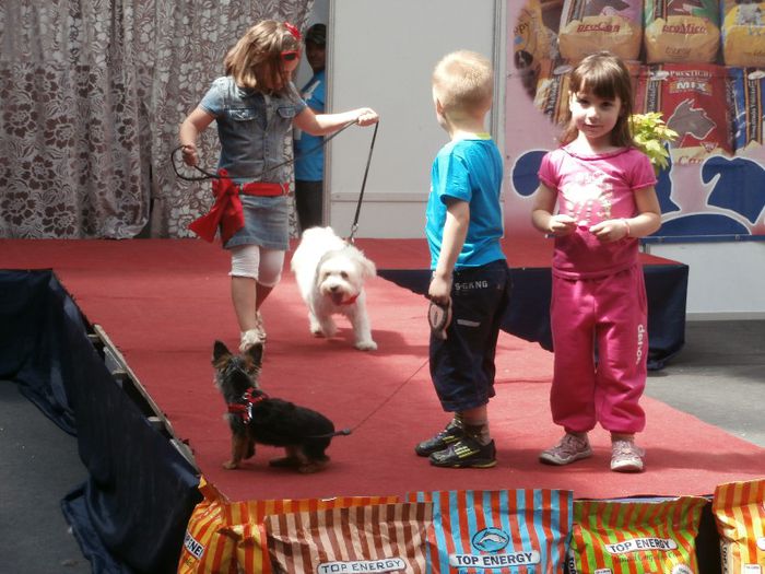 P5180066 - S- ZOO PET FAIR 2013