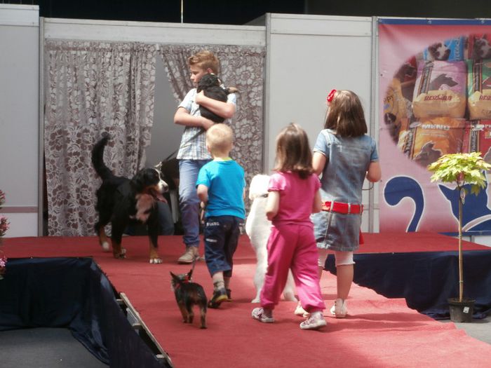 P5180067 - S- ZOO PET FAIR 2013