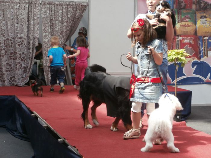 P5180068 - S- ZOO PET FAIR 2013