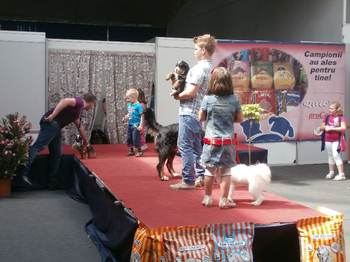 P5180069 - S- ZOO PET FAIR 2013