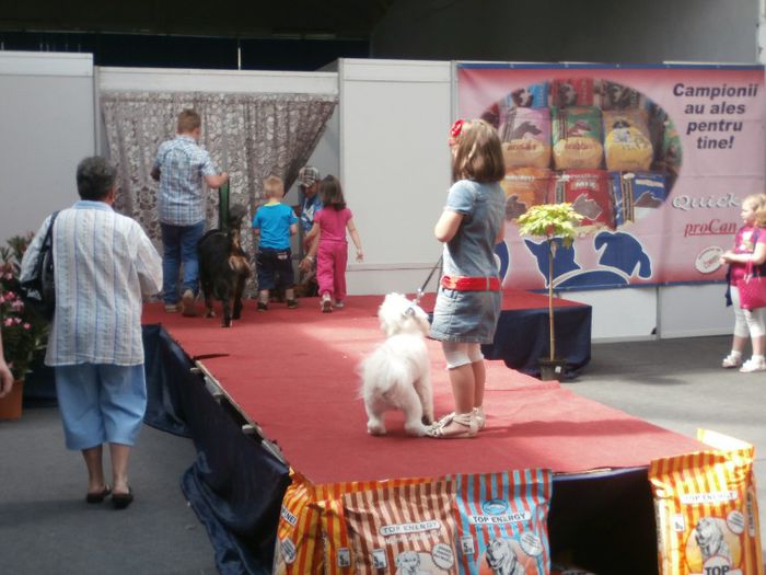 P5180070 - S- ZOO PET FAIR 2013