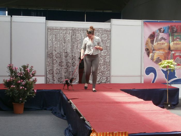 P5180083 - S- ZOO PET FAIR 2013
