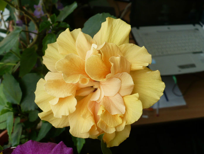 P1430928