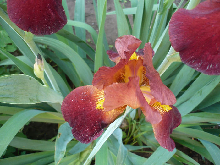 P1190987