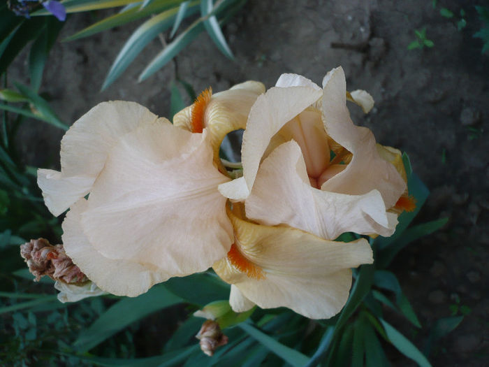P1200018