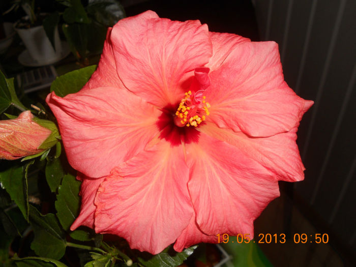 DSCN3219