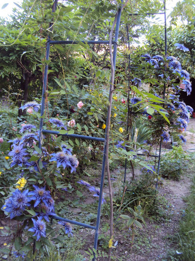 DSC04445